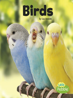 cover image of Birds